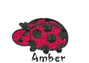 Ladybug Amber