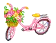 bike with butterfly