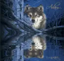 Wolf Picture~Adam