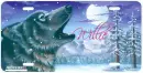 Wolf Tag~Willie (snowing)
