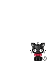 black cat