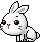 white bunny