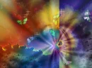 colorful butterflies