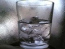 glassfool