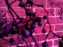purple grape fruit