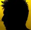 shadow
