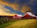 Farm Scene
