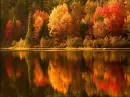 Fall Scene