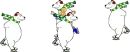 Ploar Bears