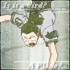 its a bird its a plane no its SHIKAMARU!