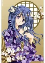 purple lily's