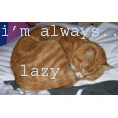 i'm always lazy