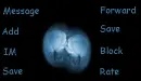 Blue rose