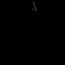 animated pentacul
