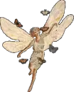 fairy 