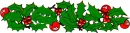 holly