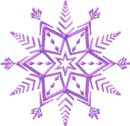 purple snowflake