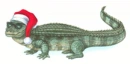 christmas croc