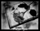 l love you 