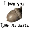 acorn!