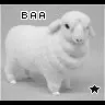 baa