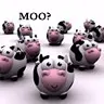 moo?