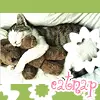 cat nap