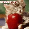 teacher's pet