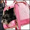 girl dog