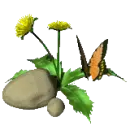 butterfly