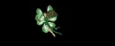 fairy magic