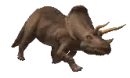 dinosaur-triceratops