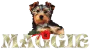 Maggie - Glitter Diamond Cutie Puppy with Rose