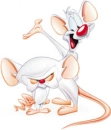 pinky & cerebro