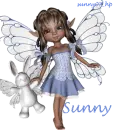 Sunny