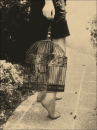 birdcage