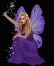purple fairy
