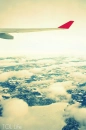 Fly high