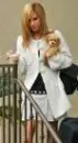 ashley tisdale
