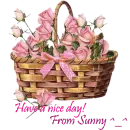 Have A Nice Day