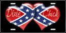 Dixie Chick