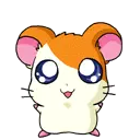 Hamtaro