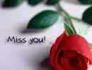 Red Rose - Miss You