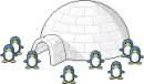 Penguins