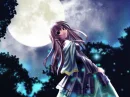 Moonlight walk