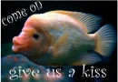 give us a kiss