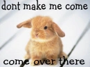 dont make me