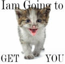 iam going to get you