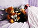 Cuddly Toys