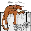 Missg You (Ingrid)